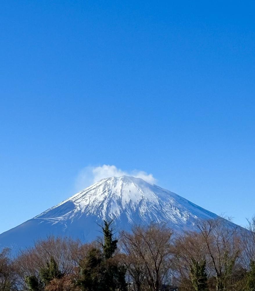 新春のご挨拶