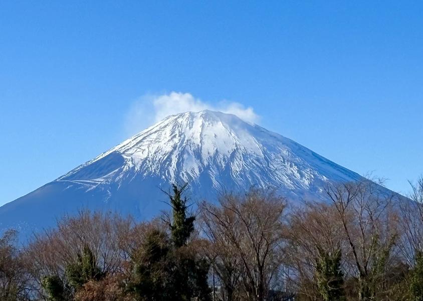 新春のご挨拶